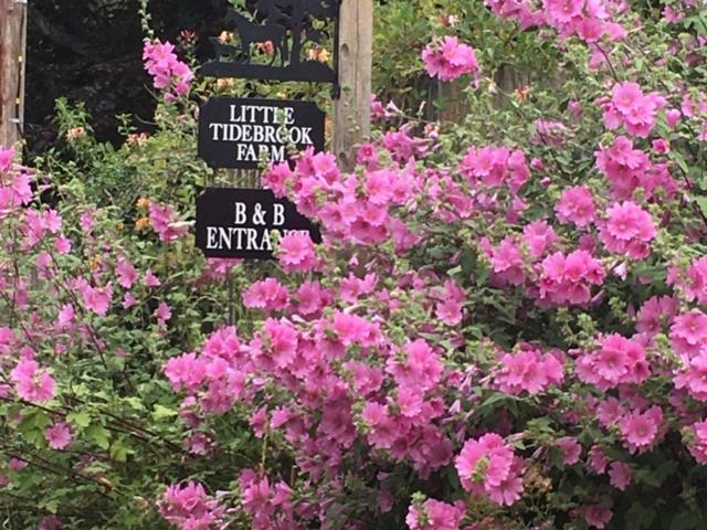 Bed and Breakfast Little Tidebrook Farm Wadhurst Экстерьер фото